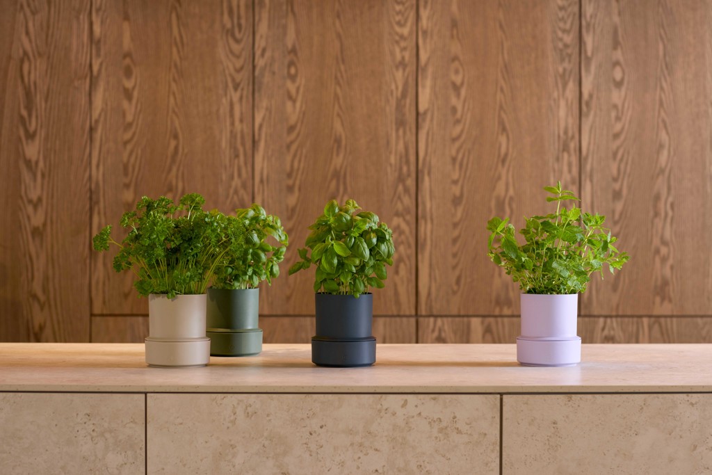 Billund / Selbstbewässerungstopf / Parsley